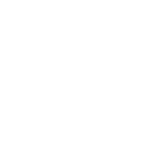 Geo-SS_icon