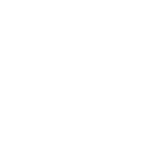 SFA-DMS_icon